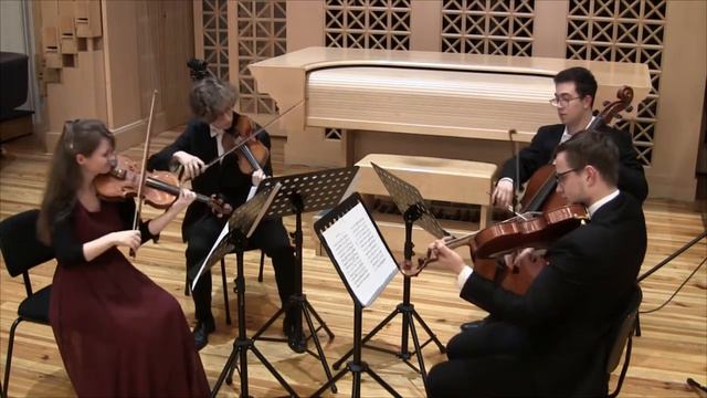 Ludwig Van Beethoven - string quartet no.16, op.135: 1st mvt. Ševčík Quartet смотреть онлайн