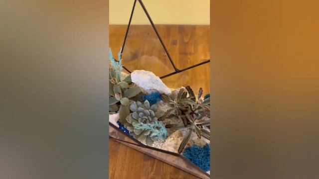 Флорариум с суккулентами «Горы М» смотреть онлайн