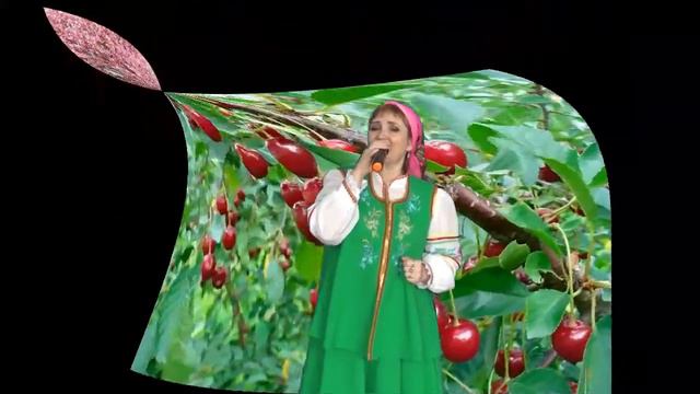 вишенка черешенка