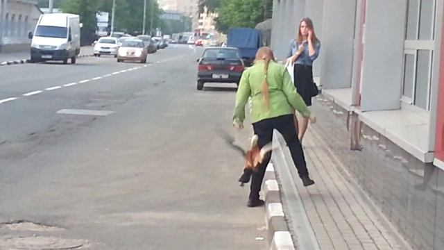 гуси с гусятами смотреть онлайн