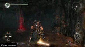 Nioh Все кодама Область Кинки Демон горы Хиэй