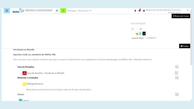 6.0.Ferramentas de acessibilidade (Moodle/UNIFAL-MG) смотреть онлайн