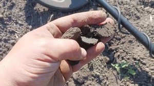 коп онлайн. х-терра 705 против эквинокс 800