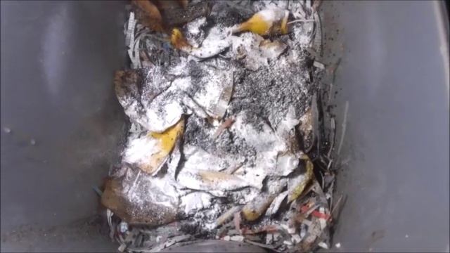 Lasagna Worms Setup Bin смотреть онлайн