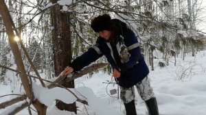 Один в тайге. По таежному путику на снегоходе.