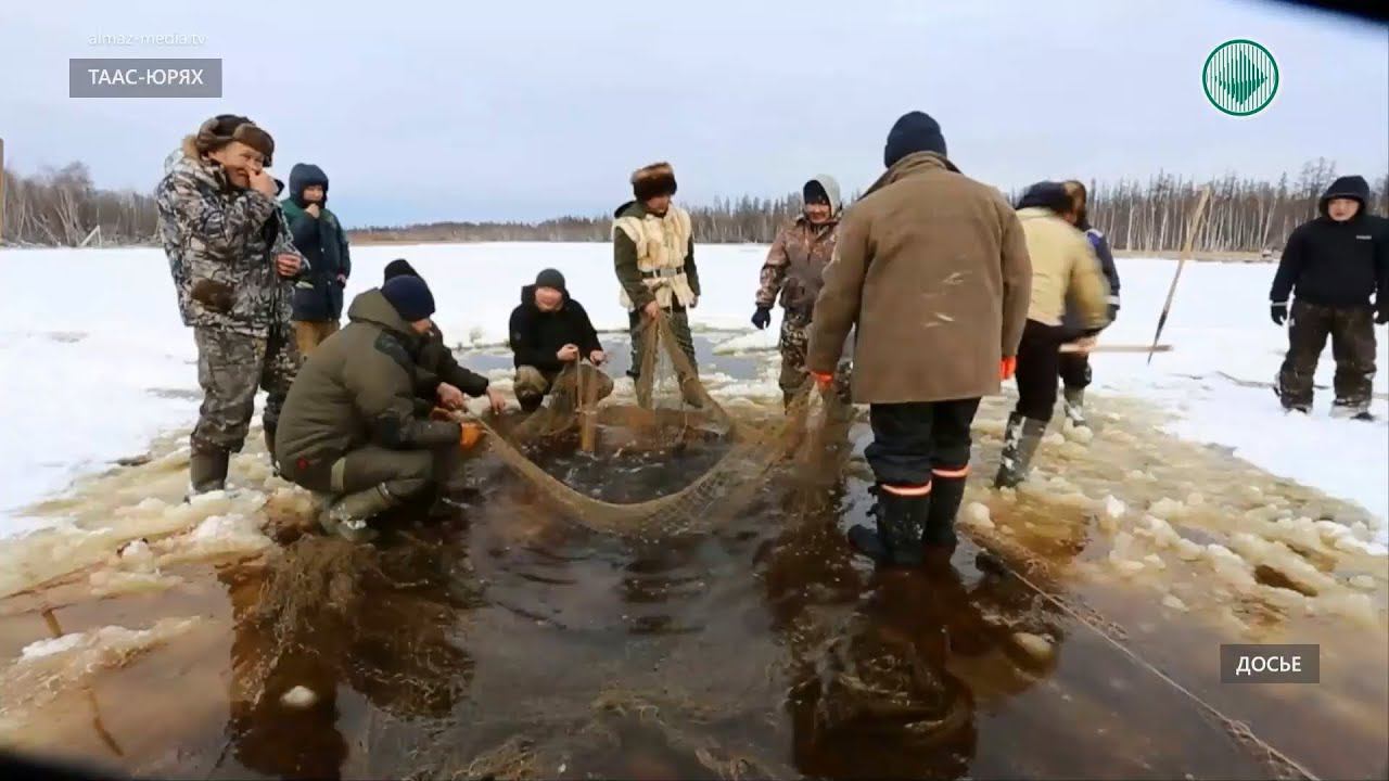 Подледная рыбалка в Якутии