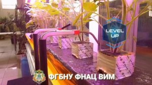 Рост растений в ускоренном режиме видеосъёмки