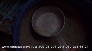 Бройлеры Домашнее содержание возраст 3 недели