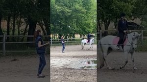 Четвёртая тренировка на лошади(учебная и строевая рысь)