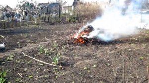 Сжигаем ветки и старые листья