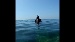 Подводная охота в Черном море 2023 "Июльский БОНУС"