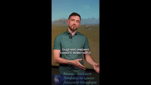 Охота. Кто забирает ДИЧЬ, если добыли двое охотников.