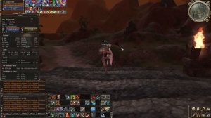 Lineage 2 High Five - PvP Гайд по Берсу (Убийца магов)