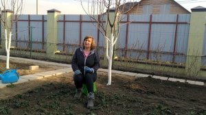 Чем подкормить клубнику для хорошего урожая! Большой урожай клубники гарантирован!