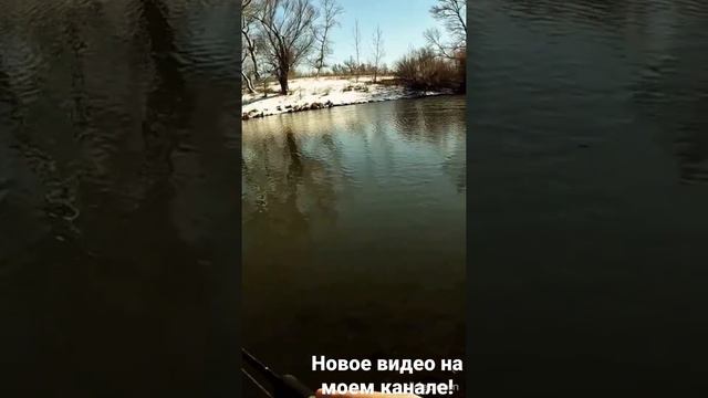 Посмотреть видео целиком о рыбалке в Ленинске можно на моем канале. Волго-ахтубинская пойма Рыбалка