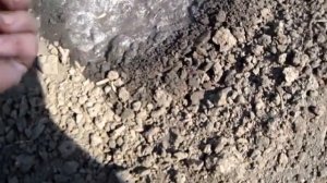 Посев семечек ДЫНЬ в лунки с вешками