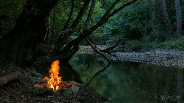 Выращивание арахиса в открытом грунте в Украине смотреть онлайн