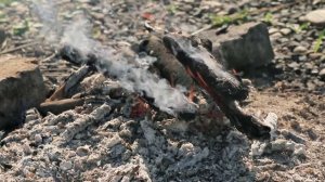 Предоставь мертвым погребать своих мертвецов