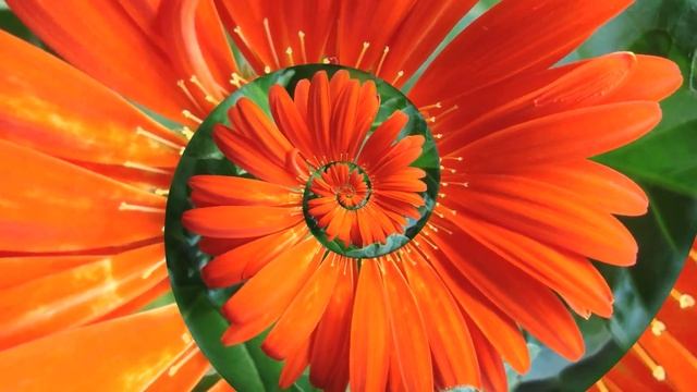 Animated Droste Effect смотреть онлайн