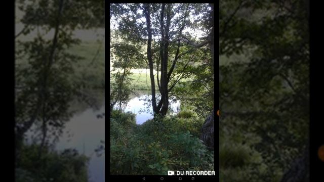Путешествие к родовому дереву.