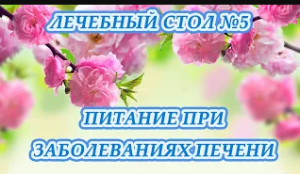 Диета при заболевании печени. Питание при заболевании печени и поджелудочной железы по Певзнеру