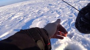 Белоярское водохранилище, первая заводь (зелёный забор) рыбалка 05.02.23