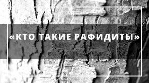 109. Ислам | Ринат Абу Мухаммад |  «Кто такие рафидиты»