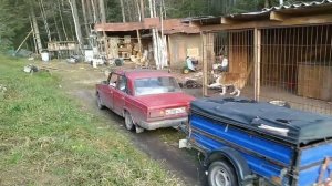 Заготовка дров