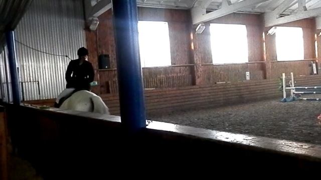 Соревнования по конному спорту