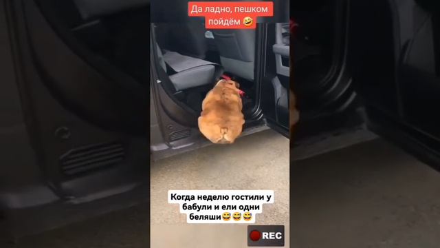 Девочки, следим за весом!