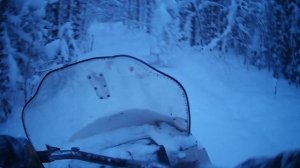 Пробиваюсь по заснеженному лесу на снегоходе Буран
