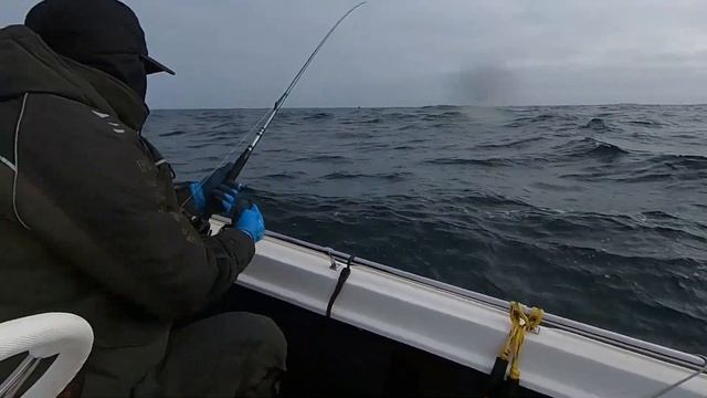 Апрель 2022 Баренцево море. Териберка. Рыбалка на треску.