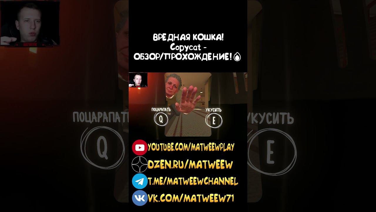 ВРЕДНАЯ КОШКА! Copycat - ОБЗОР/ПРОХОЖДЕНИЕ!