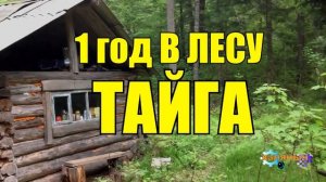 ГОД В ГЛУХОЙ ТАЙГЕ | КРУШЕНИЕ САМОЛЕТА | ЛЕТЧИК ИСПЫТАТЕЛЬ СССР | ВЫЖИТЬ В ЛЕСУ  1 из 10