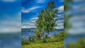 Аллегрова "Свечка,свечечка,свеча" (кавер)