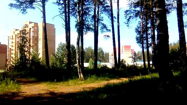 В лесном массиве у улицы 60 Лет ВЛКСМ Железногорск Красноярский Край Россия смотреть онлайн