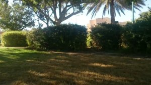 КАК ИЗБАВИТЬСЯ ОТ МУХ НА ПРИРОДЕ?