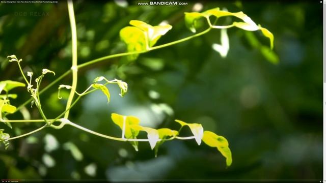 ПОЧЕМУ НИКТО не ВЫХОДИТ на КОНТАКТ ??? смотреть онлайн