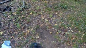 Тест металлоискателей Minelab Equinox 600 и Fortune PRO2.