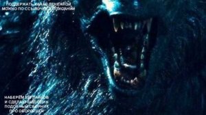 4 НОВЕЙШИХ ИСТОРИИ ПРО ОБОРОТНЕЙ