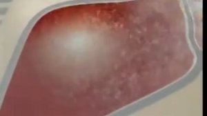 Реклама Гепатрин Эвалар (2009-2011)