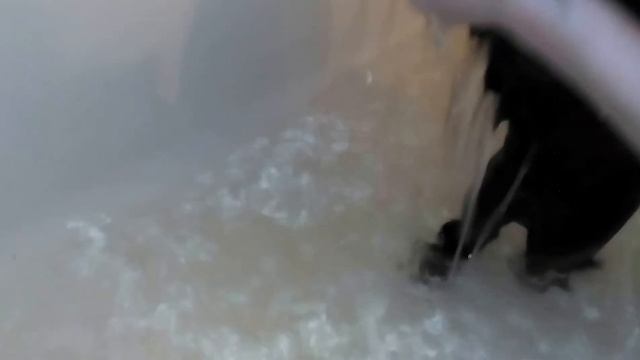 как помыть кошку смотреть онлайн