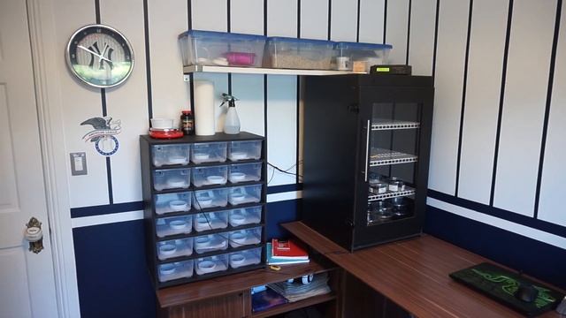 Reptile Room Tour 2020 (My Leopard Gecko Breeding Setup) смотреть онлайн