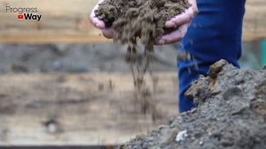 Черенкование Пеларгонии (герани) Быстро И Просто! 100% Укоренение!