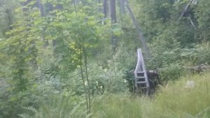 По следам адвоката Егорова