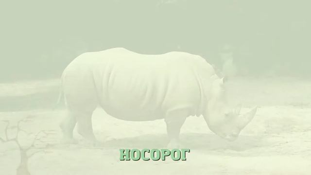 Животные Африки для детей.Изучаем звуки животных как говорят. Видео про животных.Развивающий мульти