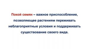 Тема 36. Строение семян. Лабораторная работа № 11 «Строение семян одно- и двудольных растений»