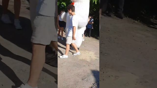 С Днем Рождения Кира, ого вот выступление БелыйМишкаВалера поздровления #супер #эмоции