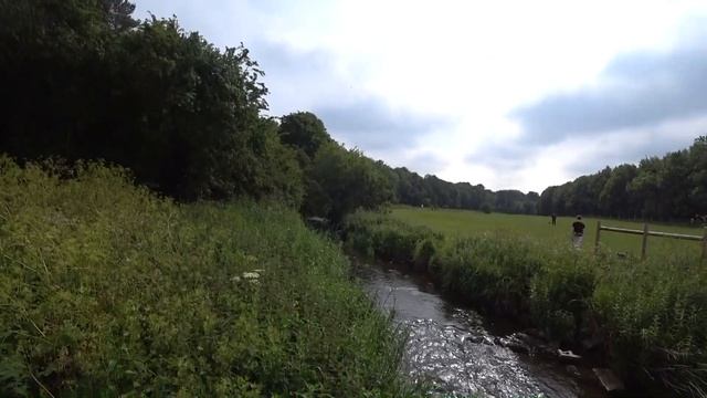 КОРМИМ ЛЕБЕДЕЙ/ОГРОМНЫЕ ОЧЕРЕДИ В МАГАЗИНАХ/КТО СПАС ДЮЙМОВОЧКУ/КНИГА ДЛЯ ВАНИ/КРЕВЕТКИ НА УЖИН смотреть онлайн