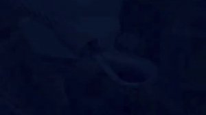 Канатные стропы 4СК